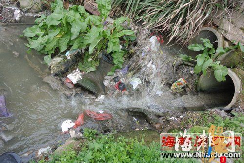 污水直排泉州山美水库400万人的大水缸严重污染