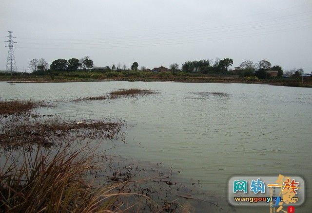 上次神秘钓点探路跟踪报道3月9日_海杆串钩上鲫鱼 作者：din100　