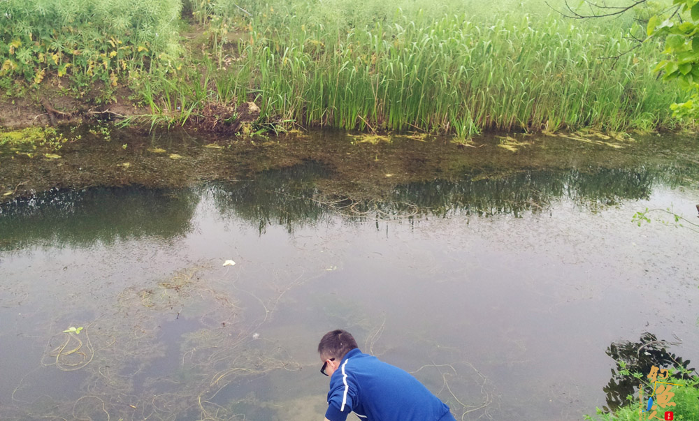 烽哥下雨取水和鱼食，我不知道是啥拍摄角度，居然搞的烽哥离我很远似的，乍眼一看，貌