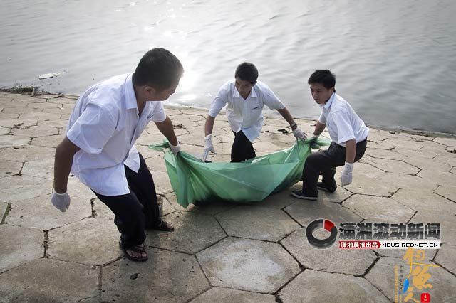 17日早上，湘江桃子湖路口段河中漂浮着一具女尸。殡仪馆人员赶到将其拉走。