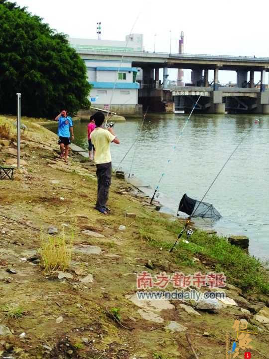 垂钓“爱好者”围着放生鱼转