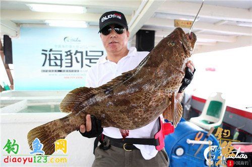 南油海钓