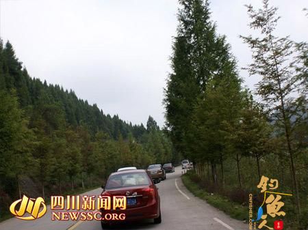 四川 南充 升中湖 远眺 美景 前往景区的道路上车流不息