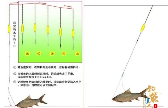 专业配图详解：水库垂钓土鲮鱼的技巧和方法 