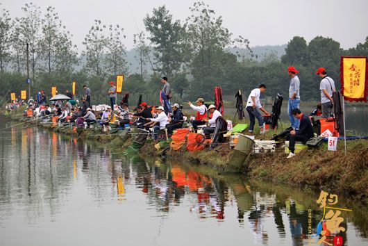 “杏花村”杯钓鱼比赛圆满落幕 比赛现场