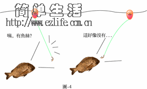 钓组,钓线,渔具,钓具