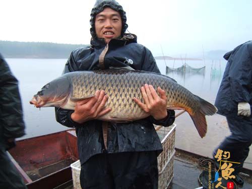 生态鹤岗鱼米乡　打出巨型大鲤鱼 38斤