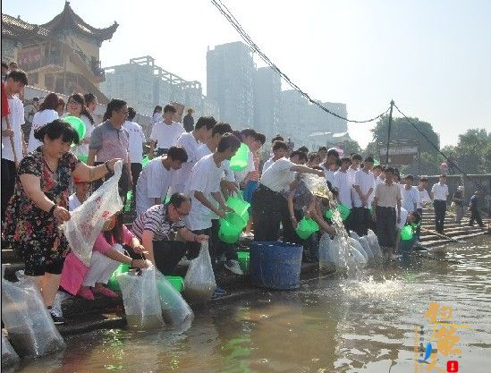 保护生态陵区启动鱼类人工增殖放流活动 图