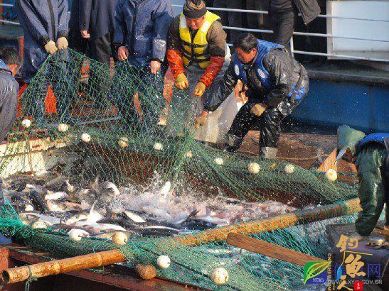 河南信阳南湾鱼获“河南餐饮首批放心食材供应商”称号 图