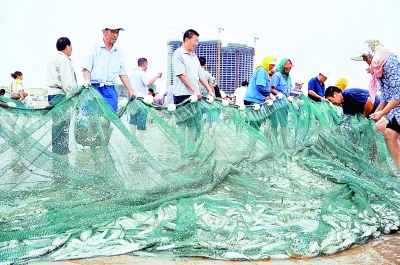 灵山湾再现2000年前捕鱼文化