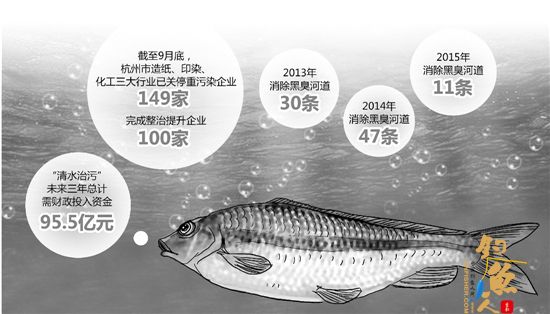 清水治污专项行动成效喜人 消失20多年的石斑鱼回归