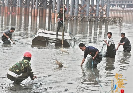 组图 东湖隧道工地工人下水捞鱼