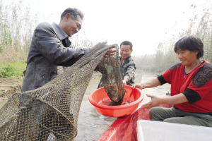 让“渔民”换种方式回归长江  如何让离开江水的“鱼儿”在岸上活得更好