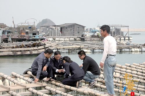 福建东山检验检疫局：精诚所至 点“鱼”成金