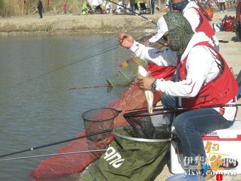 新疆伊犁州第二届“文明杯”钓鱼大赛举行