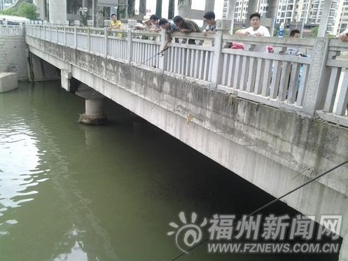 北三环路琴亭环岛旁的内河河水缺氧大量鱼群上浮　钓鱼者直接用鱼钩钩鱼