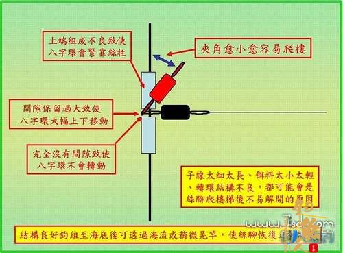 船钓倒吊钓组的结构