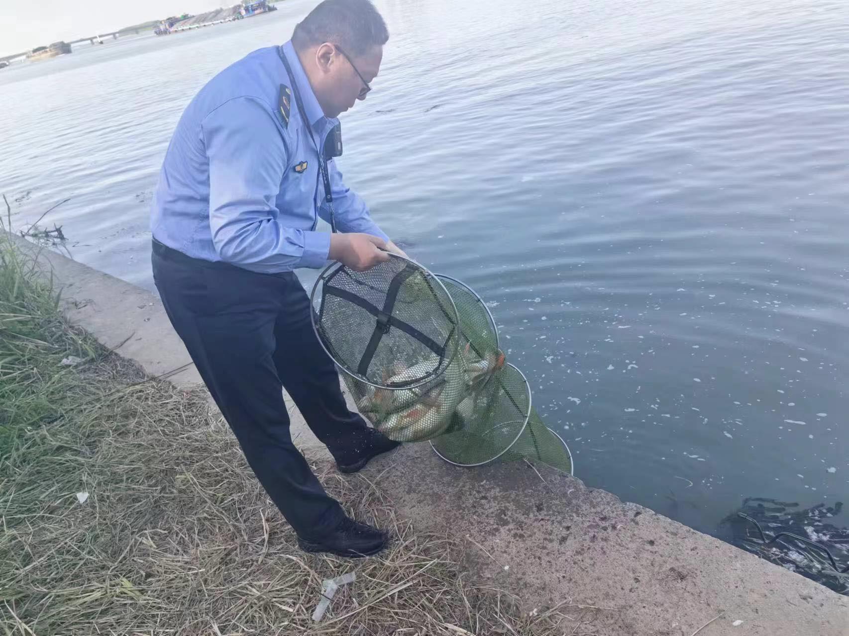 利用泥鳅钓鱼，这种破坏水生态钓鱼方式要不得