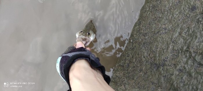 浅谈岸钓鲈鱼的一些搜索小技巧