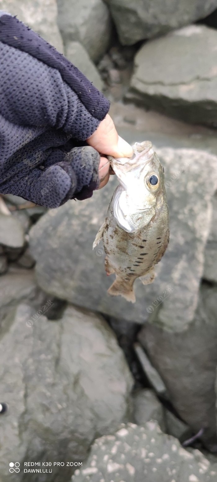 浅谈岸钓鲈鱼的一些搜索小技巧