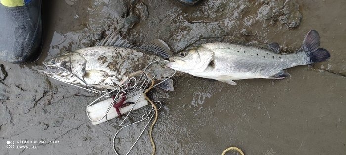 浅谈岸钓鲈鱼的一些搜索小技巧