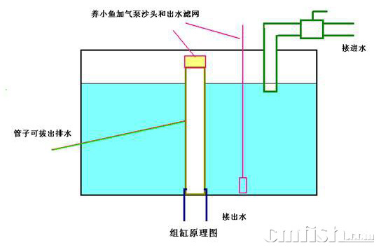 小丑繁殖缸的配置,多图 - 下排水