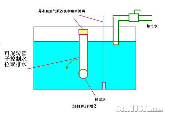 小丑繁殖缸的配置,多图 - 背排水